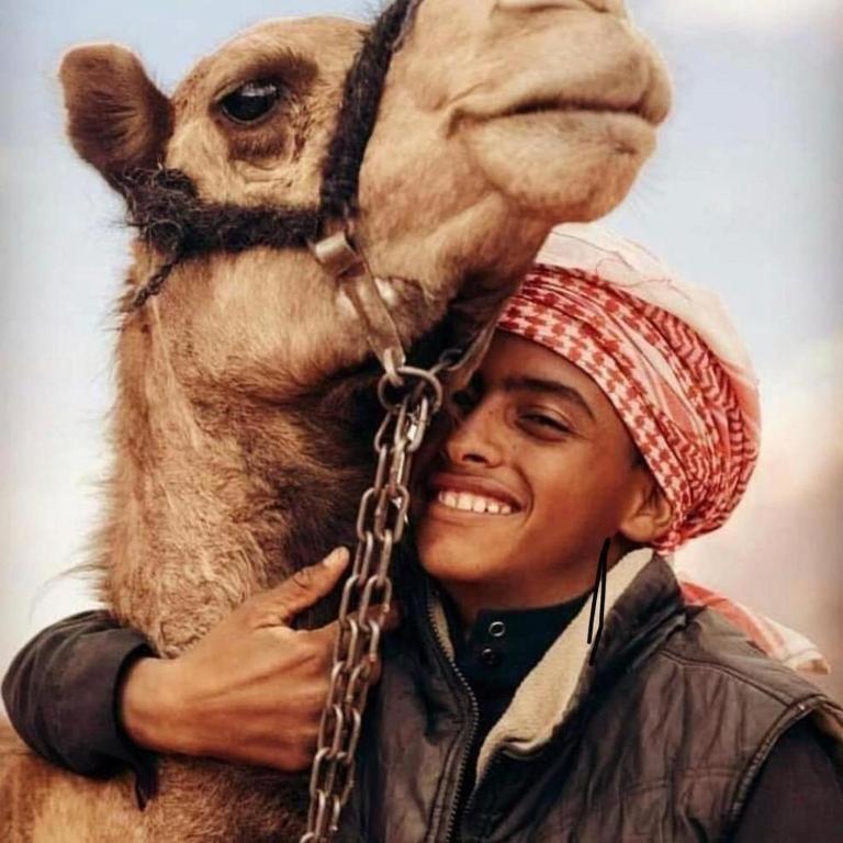 Wadi Rum Desert Heart Camp Eksteriør bilde