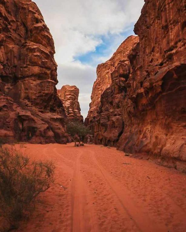 Wadi Rum Desert Heart Camp Eksteriør bilde