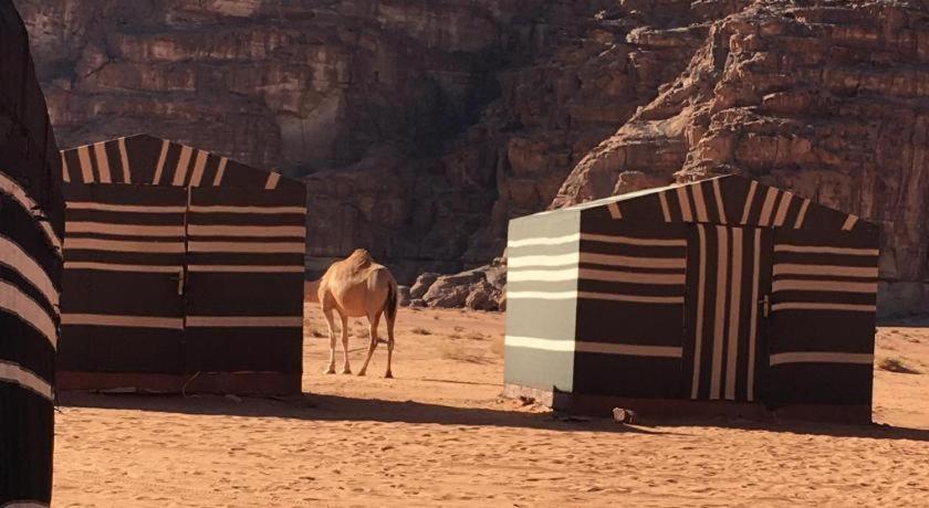 Wadi Rum Desert Heart Camp Eksteriør bilde